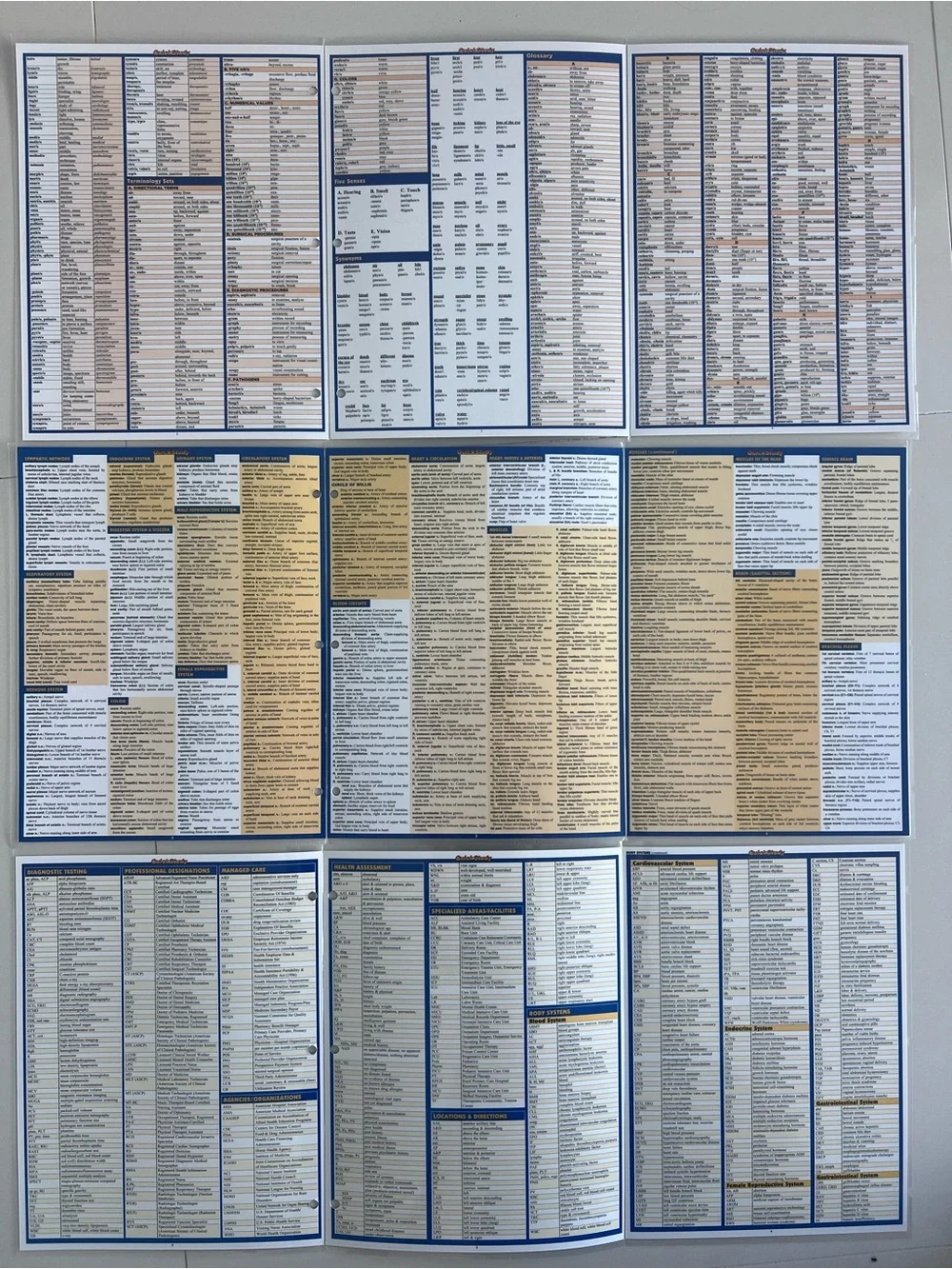 Medical Reference Charts - Anatomy, Medical Terminology & Abbreviations (Blue)